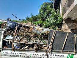 Professional Junk Removal Services in St Anthony, MN