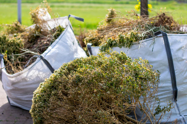 Best Hoarding Cleanup  in St Anthony, MN